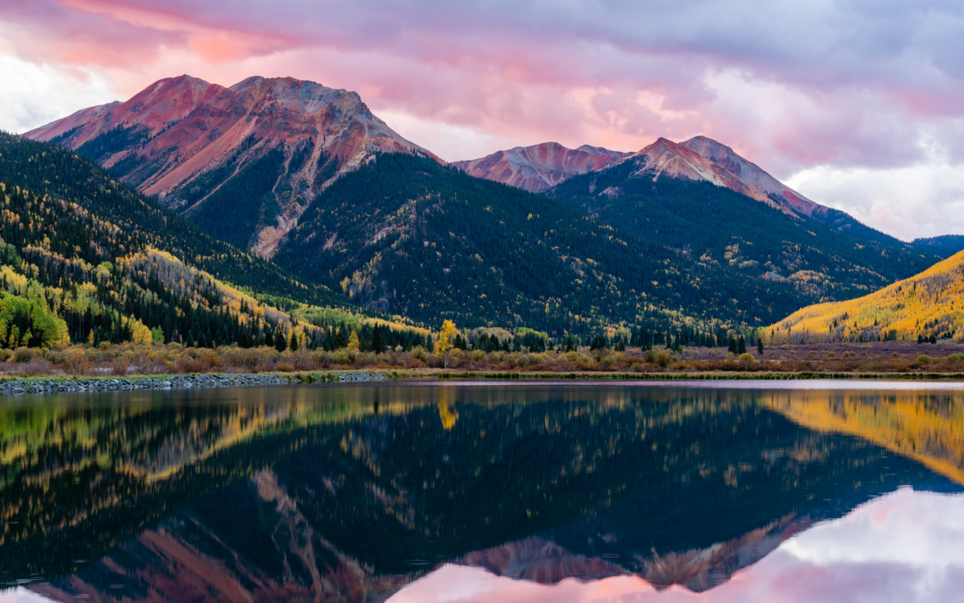 Hey, Colorado! Let’s fight gun violence | Week of April 8th, 2024