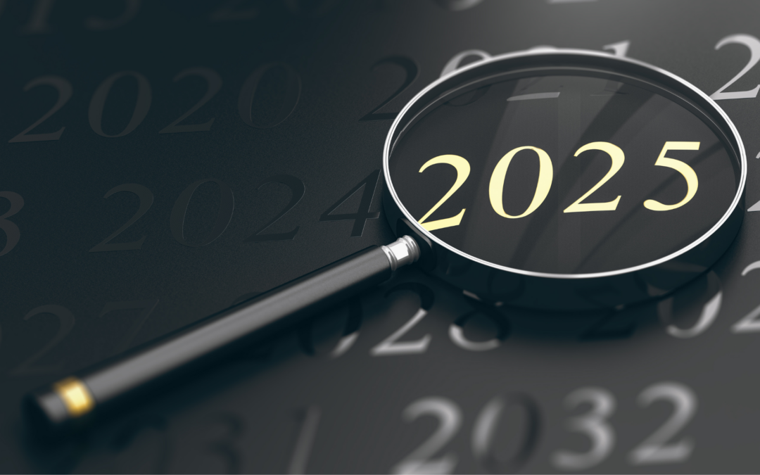 what is project 2025